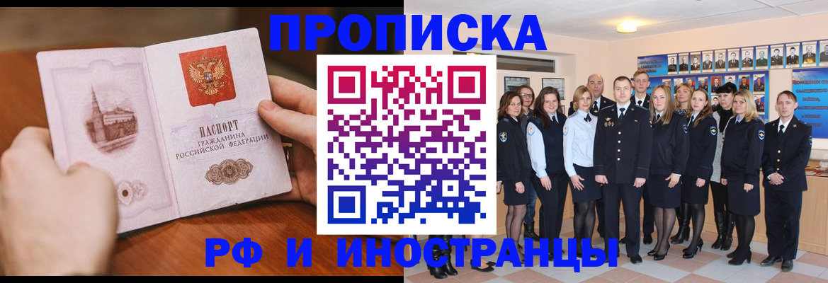 прописка поиск в Камышине